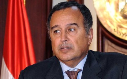 وزير الخارجية المصري: لن يخرج الوضع عن السيطرة