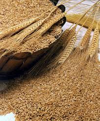 “الصناعة”: مخزون القمح يغطي استهلاك 10 أشهر