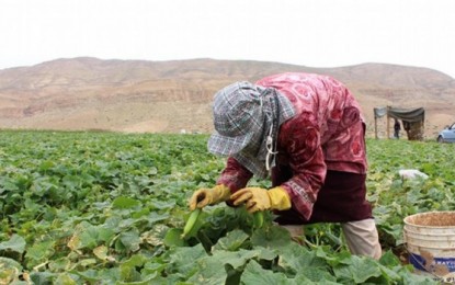 تفاقية لتوفير مياه ري لمزارعي الأغوار الشمالية بقيمة 6 ملايين يورو