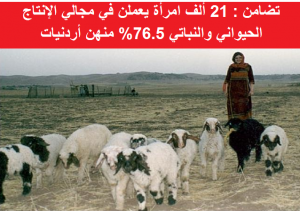 تضامن : 21 ألف امرأة يعملن في مجالي الإنتاج الحيواني والنباتي 76.5% منهن أردنيات 40
