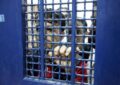 41 أسيرًا أمضوا ربع قرن في سجون الاحتلال