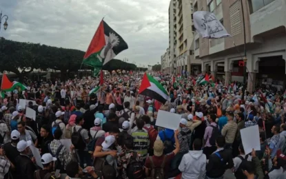 الوقفات التضامنية دعما للمقاومة و نصرة لغزة تتواصل في عدّة دول