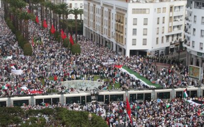 المغرب يشهد 100 مظاهرة تضامنية مع غزة