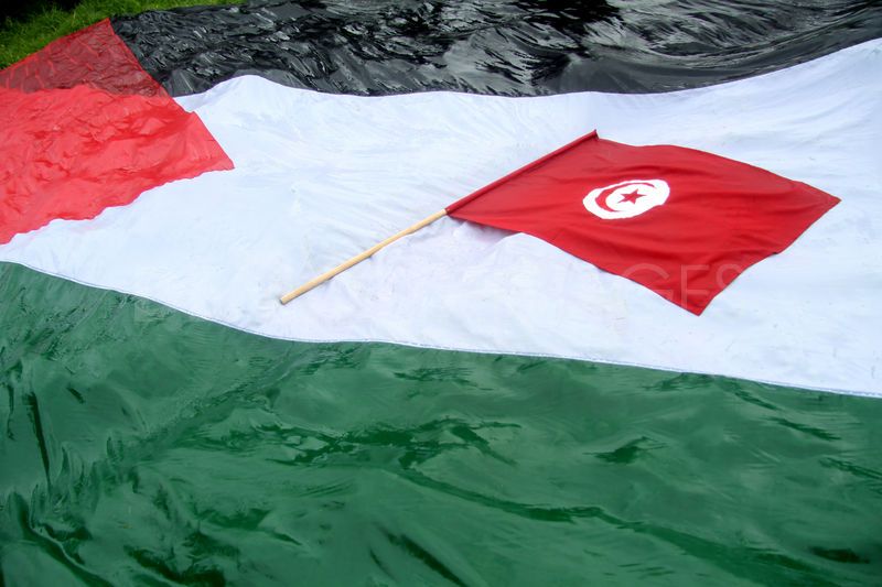 تونس: الإعلان رسميا عن انطلاق فعاليات «تونس– فلسطين 2017»